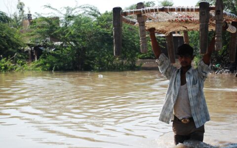 Gujarat rains kill 40, displace 55,000 people: IMD issues fresh red alert